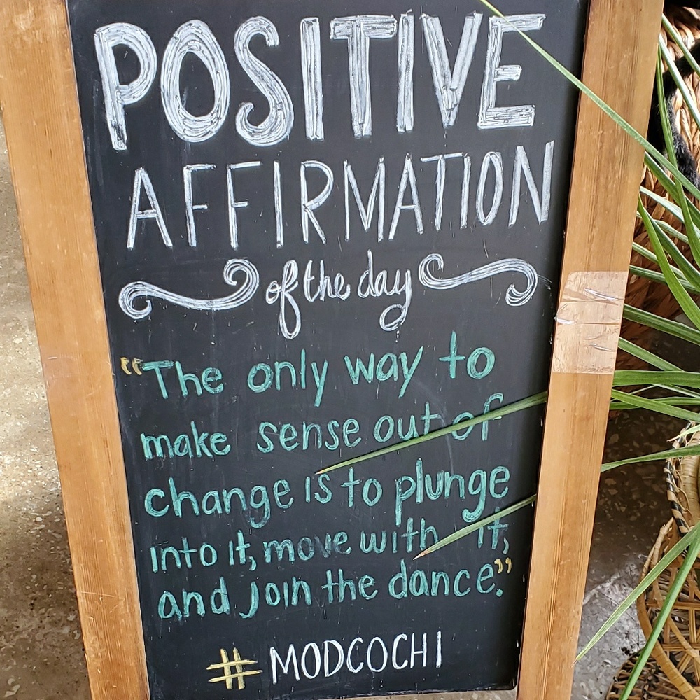 Meet your Posher, Bella!